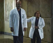 Ins Krankenhaus werden viele Opfer eines Geb&auml;udeeinsturzes gebracht und Webber (James Pickens Jr., l.) verlangt von Bailey (Chandra Wilson, r.) Antworten &uuml;ber die Anwesenheit von Eliza Minnick ...