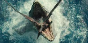 Ein Mosasaurus taucht aus dem Wasser auf, um seine Beute zu fressen