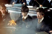 Manch ein Zauber kann auch nach hinten los gehen, m&uuml;ssen Harry (Daniel Radcliffe) und Seamus (Devon Murray) feststellen.