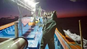 Krabbenfischer vor der K&uuml;ste von Gangneung, dem zweiten Ort der Olympischen Spiele.