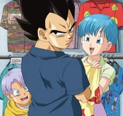 L-R: Trunks, Vegeta, Bulma