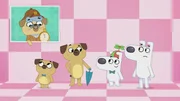 Welche Unterschiede finden Dog und Puck?