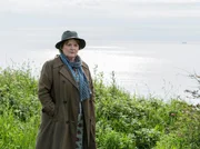 DCI Vera Stanhope (Brenda Blethyn)