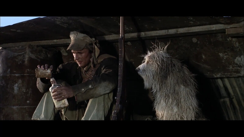 Der Junge und sein Hund (USA, 1975)