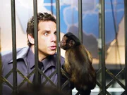 Premiere: "Nachts im Museum" Im Bild: Ben Stiller.