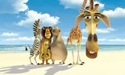 "Madagascar", Zebra Marty nimmt an seinem Geburtstag betr&uuml;bt zur Kenntnis, dass er noch nie etwas anderes gesehen hat als den Zoo von New York. Kurzerhand planen L&ouml;we Alex, Giraffe Melman und Nilpferd-Lady Gloria den Ausbruch. Ein Ausflug, der nach ihrer R&uuml;ckkehr nicht folgenlos bleibt. Tiersch&uuml;tzer setzen durch, dass die vier per Schiff in ihre Heimat nach Kenia gebracht werden. Allerdings durchkreuzen die Pinguine den Plan. Und so landet das verw&ouml;hnte Quartett in der Wildnis Madagaskars.  SENDUNG: ORF eins - SO - 11.10.2020 - 11:10 UHR. - Veroeffentlichung fuer Pressezwecke honorarfrei ausschliesslich im Zusammenhang mit oben genannter Sendung oder Veranstaltung des ORF bei Urhebernennung.