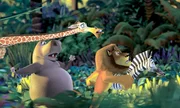 "Madagascar", Zebra Marty nimmt an seinem Geburtstag betr&uuml;bt zur Kenntnis, dass er noch nie etwas anderes gesehen hat als den Zoo von New York. Kurzerhand planen L&ouml;we Alex, Giraffe Melman und Nilpferd-Lady Gloria den Ausbruch. Ein Ausflug, der nach ihrer R&uuml;ckkehr nicht folgenlos bleibt. Tiersch&uuml;tzer setzen durch, dass die vier per Schiff in ihre Heimat nach Kenia gebracht werden. Allerdings durchkreuzen die Pinguine den Plan. Und so landet das verw&ouml;hnte Quartett in der Wildnis Madagaskars.  SENDUNG: ORF eins - SO - 11.10.2020 - 11:10 UHR. - Veroeffentlichung fuer Pressezwecke honorarfrei ausschliesslich im Zusammenhang mit oben genannter Sendung oder Veranstaltung des ORF bei Urhebernennung.