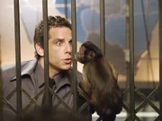 Der gl&uuml;cklose Tagtr&auml;umer Larry Daley beginnt als Nachtw&auml;chter im New Yorker Naturkundemuseum zu arbeiten. Ohne fixe Anstellung will ihm Exfrau Erica n&auml;mlich den Kontakt zu seinem Sohn untersagen. Der ruhige Job wird &uuml;berraschend zum Abenteuer. S&auml;mtliche Exponate erwachen nachts zum Leben. Das Gerippe eines T-Rex jagt durch die Hallen. Attila, der Hunnenk&ouml;nig, r&ouml;mische Soldaten, Inkakrieger und Westernhelden bek&auml;mpfen sich. Einzig Theodore Roosevelt erweist sich als Larrys Verb&uuml;ndeter. Im Bild: Ben Stiller.