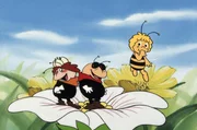 Maja ermahnt Puck und Freda, dass sie für das Fest Blüten sammeln sollen. Maja ermahnt Puck und Freda, dass sie für das Fest Blüten sammeln sollen.