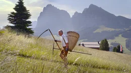 Der H&uuml;ttenwirt der Rauchh&uuml;tte, Andreas Rauch, pflegt die H&auml;nge der Seiser Alm noch traditionell. F&uuml;r die Wiesmahd greift er zu Sense, Rechen und Kiepe. Im Hintergrund imponieren die Gipfel Langkofel und Plattkofel.
