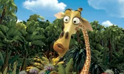 "Madagascar", Zebra Marty nimmt an seinem Geburtstag betr&uuml;bt zur Kenntnis, dass er noch nie etwas anderes gesehen hat als den Zoo von New York. Kurzerhand planen L&ouml;we Alex, Giraffe Melman und Nilpferd-Lady Gloria den Ausbruch. Ein Ausflug, der nach ihrer R&uuml;ckkehr nicht folgenlos bleibt. Tiersch&uuml;tzer setzen durch, dass die vier per Schiff in ihre Heimat nach Kenia gebracht werden. Allerdings durchkreuzen die Pinguine den Plan. Und so landet das verw&ouml;hnte Quartett in der Wildnis Madagaskars.  SENDUNG: ORF eins - SO - 11.10.2020 - 11:10 UHR. - Veroeffentlichung fuer Pressezwecke honorarfrei ausschliesslich im Zusammenhang mit oben genannter Sendung oder Veranstaltung des ORF bei Urhebernennung.