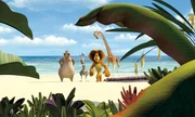 Als Marty flieht,  folgen ihm seine Freunde - und stranden mit ihrem Fluchtschiff vor der K&uuml;ste Madagascars ...