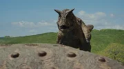 Die riesigen Dinosaurier der S&uuml;dhalbkugel.
