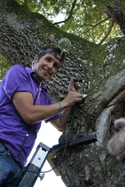 Willi als Baumdoktor.