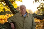 Sir David Attenborough im Richmond Park, London.