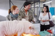 Tier&auml;rztin Dr. Susanne Mertens (Elisabeth Lanz, r.) ist emp&ouml;rt! Wie kommt der neue Kurator Dr. Tom Berkhoff (Gregory B. Waldis, M.) dazu, einen operativen Eingriff an Schwein Otto vorzunehmen? Diese &Uuml;berschreitung seiner Kompetenzen will sie nicht hinnehmen. Anett (Anna Bertheau, l.) beobachtet die Streith&auml;hne mit gemischten Gef&uuml;hlen.