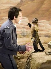 Der neue Nachtw&auml;chter Larry (Ben Stiller) hat seine Hausaufgaben gemacht und erinnert sich deutlich an die Regeln, die er beachten soll. Doch bevor er den ersten Satz des Handbuchs richtig umsetzen kann, hat ihm der Kapuzineraffe 'Dexter' bereits die Schl&uuml;ssel geklaut!