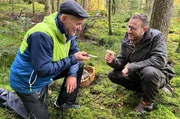Von Joachim Erk (li.), Pilzsachverst&auml;ndiger aus Bad Wildbad, erf&auml;hrt S&ouml;ren Anders alles &uuml;ber die heimischen Pilze.