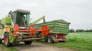 Bauer Gregor erkl&auml;rt heute, wie man Reis anbaut, erntet und verarbeitet.