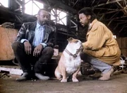 Jesse (Richard Lawson, r.) und Frank (Cleavon Little, l.) &uuml;berdenken noch einmal den Fall und kommen auf eine neue Erkenntnis.