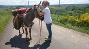 Nicole Grasser aus Dachau wagte den Versuch - mit einem Mietesel auf die franz&ouml;sische Via podiensis, den bekanntesten Jakobsweg, zu gehen. Rund 230 Kilometer in zehn Tagen legte die Pilgerin mit ihrem Esel Wappa zur&uuml;ck - von Le Puys-en-Velais in der malerischen Auvergne &uuml;ber das karge, w&uuml;ste Hochland des Aubrac bis zum magischen Ort Conques.