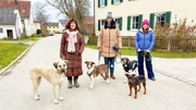 Beim Gassi erklären Karina und Angelika Anna wie man eine Pflegestelle für Tierschutzhunde wird. Von links: Angelika Kissing, Karina Schnell und Anna. Beim Gassi erklären Karina und Angelika Anna wie man eine Pflegestelle für Tierschutzhunde wird. Von links: Angelika Kissing, Karina Schnell und Anna.