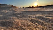 Brandenburgs gr&ouml;&szlig;te Binnend&uuml;ne erinnert an Ostseestr&auml;nde. Tats&auml;chlich handelt es sich um einen ehemaligen Truppen&uuml;bungsplatz, der nun ein R&uuml;ckzugsgebiet f&uuml;r die Natur ist.