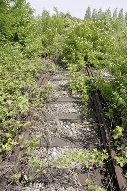 Hochbahngasse.