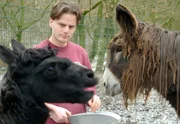 Marco Kissling mit Poipou-Esel Jaques (rechts) und Alpaka Pico. Marco Kissling mit Poipou-Esel Jaques (rechts) und Alpaka Pico.