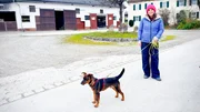 Beim Gassi gehen übernimmt Anna den kleinen Timmy. Er ist erst seit einer Woche in Deutschland und muss noch viel lernen. Beim Gassi gehen übernimmt Anna den kleinen Timmy. Er ist erst seit einer Woche in Deutschland und muss noch viel lernen.