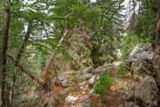 Der Premuziceva staza ist ein Fernwanderweg durch den Norden des Velebit-Gebirges, der rund 57 Kilometer auf immer derselben H&ouml;he die Berge entlang durch die wildesten und unzug&auml;nglichsten Orte f&uuml;hrt.
