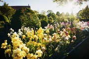 Hinter den Hecken Irisgarten in Oetlishausen bei Hohentannen TG Staffel 5 Folge 2 Irisgarten in Oetlishausen Hinter den Hecken Irisgarten in Oetlishausen bei Hohentannen TG Staffel 5 Folge 2 Irisgarten in Oetlishausen