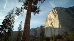 Der Yosemite Nationalpark bedeckt eine Fl&auml;che von &uuml;ber 3000 Quadratkilometer.