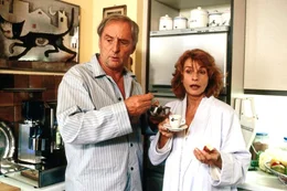 "Trennungsfieber". Im Bild: G&uuml;nther Maria Halmer, Senta Berger.
