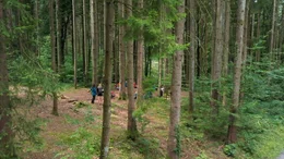 "Kurs Waldbaden" in der Waldschule Bodensee.