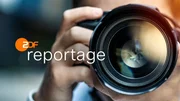 "ZDF.reportage" Logo