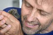 Der Tierarzt Massimo Vacchetta k&uuml;mmert sich seit Jahren ausschlie&szlig;lich um verletzte Igel.