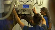 Physiotherapeutin Claudia Neeff (vorne) mit "Emmy Lou" in der Pferdeklinik Leichlingen beim R&ouml;ntgen.