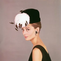 Audrey Hepburn (Holly Golightly).