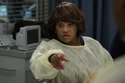 Dr. Miranda Bailey (Chandra Wilson)