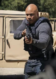 LL Cool J (Special Agent Sam Hanna).