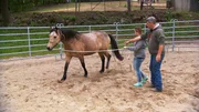 Bernd Hackl, "Hidalgo" und Bianca Hofmann beim Training.