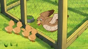 Wieder vereint! Josefine hat die Küken zu ihrer verletzten Entenmutter in die Tierarztpraxis gebracht. Wieder vereint! Josefine hat die Küken zu ihrer verletzten Entenmutter in die Tierarztpraxis gebracht.