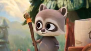 Baby Raccoon