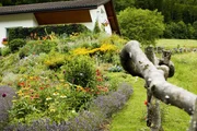 Hinter den Hecken Durchbl&uuml;her-Garten in Flums-Hochwiese SG Staffel 5 Folge 3 Durchbl&uuml;her-Garten von Esther Tr&uuml;mpi und Roger Holdener 2022