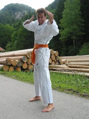 Der Moderator Willi Weitzel glaubt, er k&ouml;nne mit Karate versuchen, Holz zu spalten.