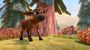 Baby Moose