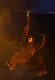 Ein Affe auf einem Bauernhof? Mumbro und Zinell entdecken wiederholt wilde Tiere, die rund um den Bauernhof ihr Unwesen treiben.