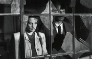 Die junge Fotografin Susanne (Hildegard Knef) versucht den im Krieg traumatisierten Arzt Dr. Mertens (Ernst Wilhelm Borchert) von der Selbstjustiz an einem Kriegsverbrecher abzuhalten.