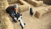 Ein Berkshire Schwein im Strohlabyrinth mit Kameramann Graham Horder.  Die Verwendung des sendungsbezogenen Materials ist nur mit dem Hinweis und Verlinkung auf TVNOW gestattet.